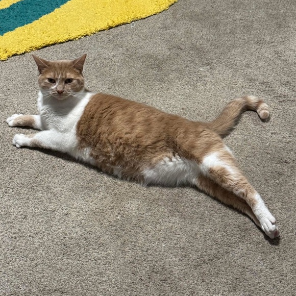 Meet the posher! - Picture 4 of 4